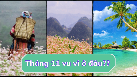 Tháng 11 đi vi du  ở đâu? 