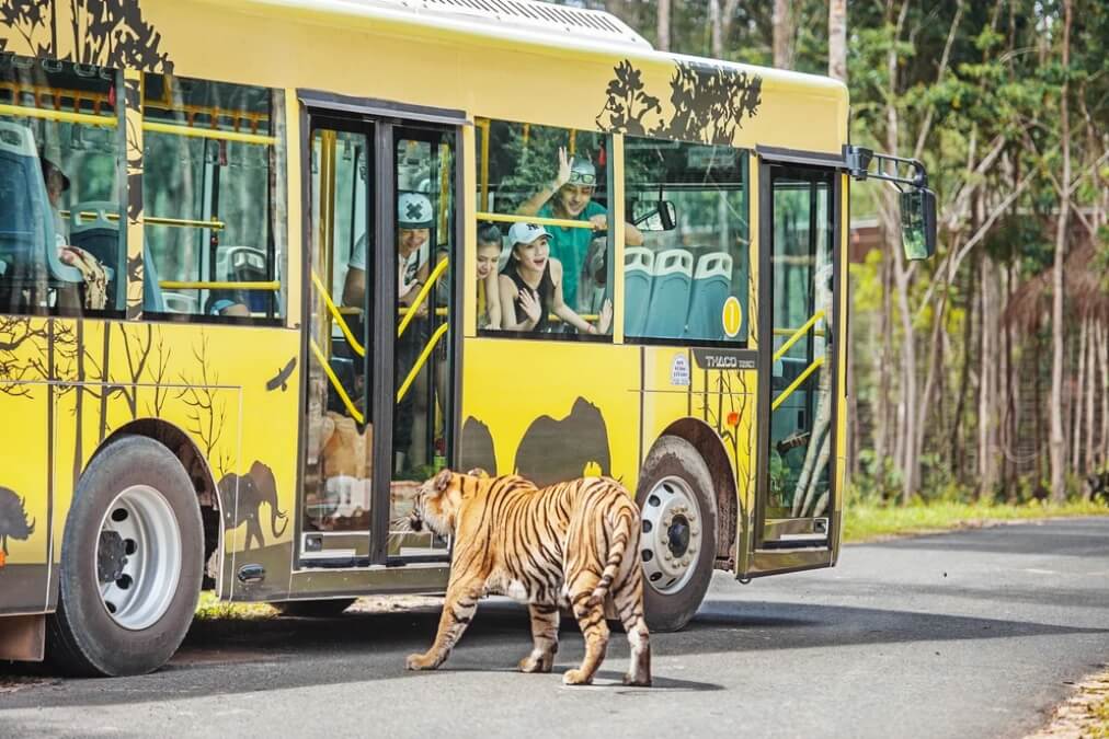 Tham quan Vinpearl Safari Phú Quốc bằng xe bus