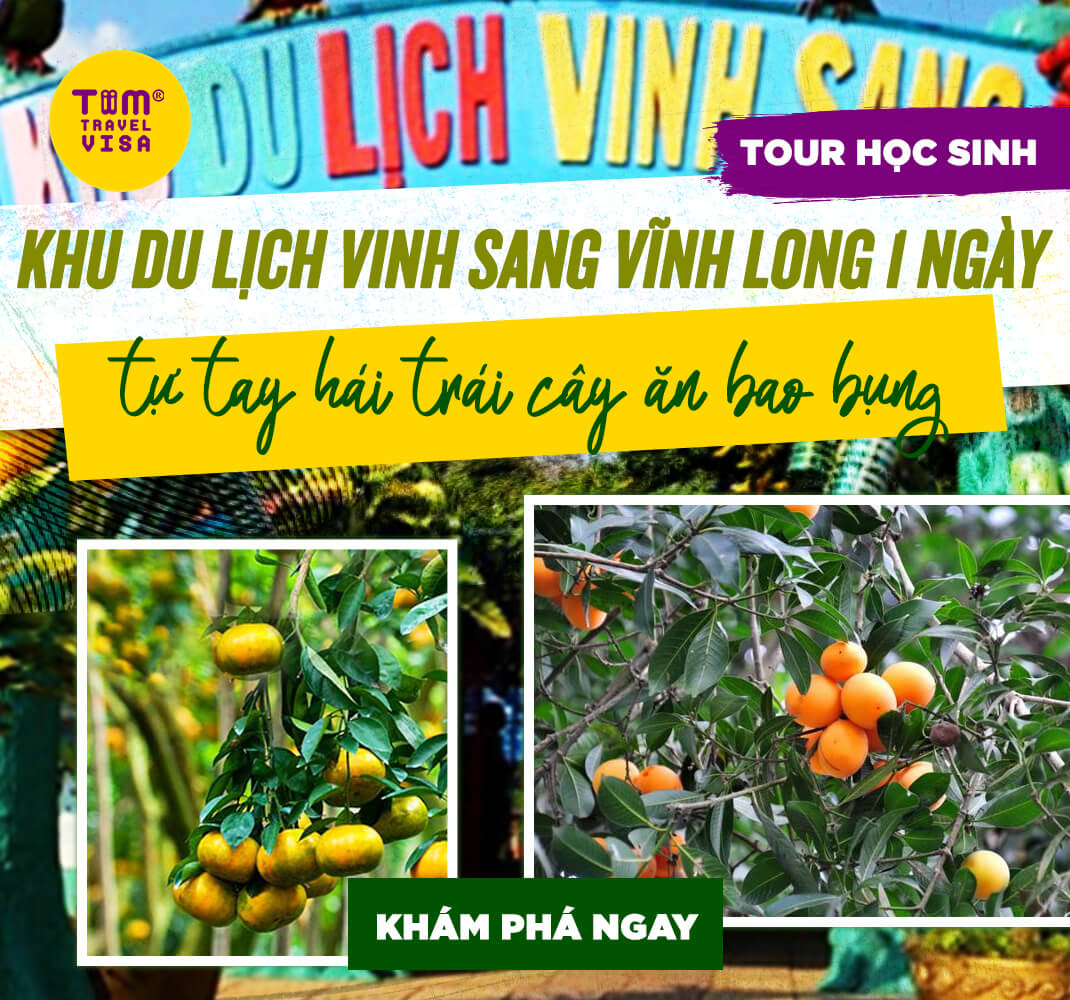 Khu du lịch Vinh Sang Vĩnh Long 1 ngày tự tay hái trái cây ăn bao bụng