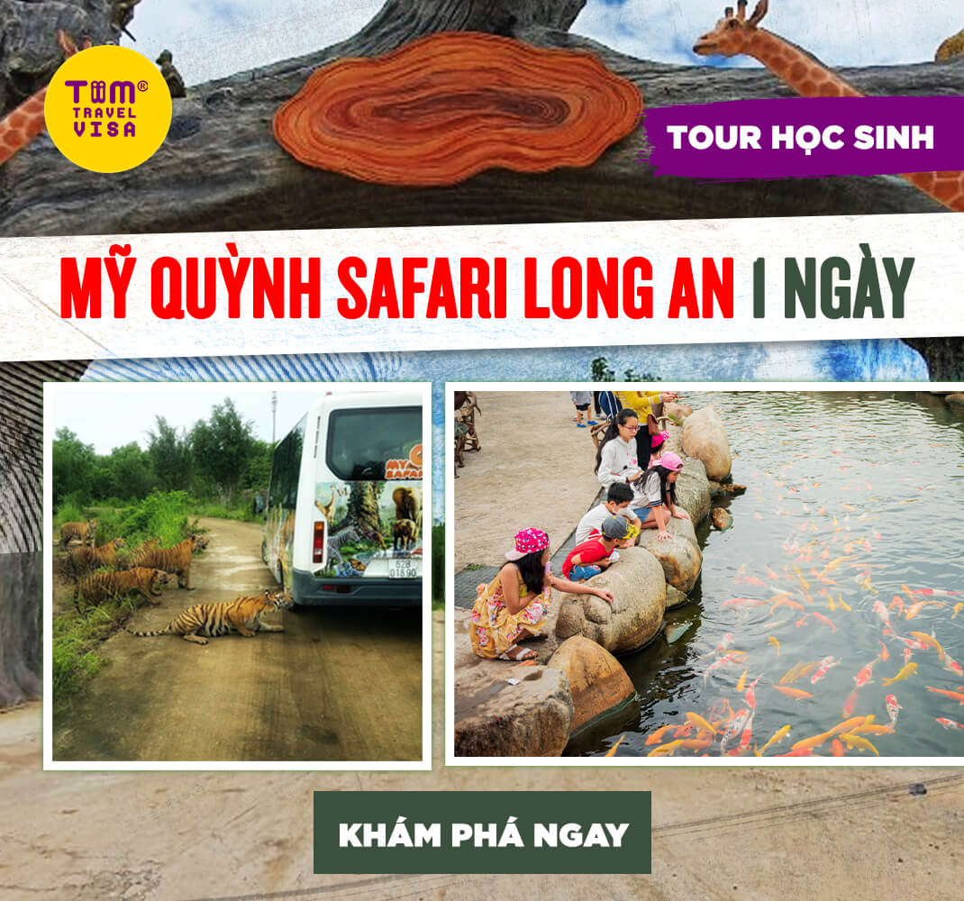 Mỹ Quỳnh Safari Long An 1 ngày