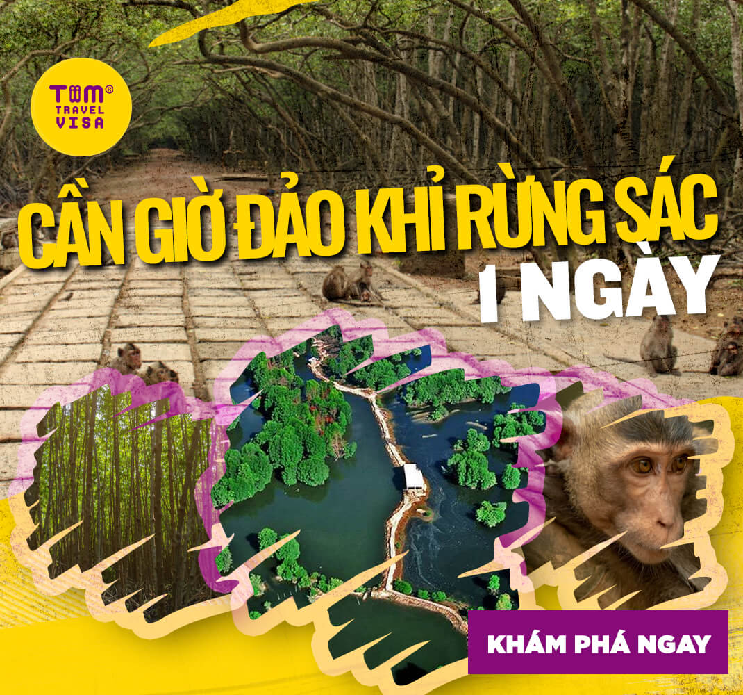 Cần Giờ Đảo Khỉ Rừng Sác 1 ngày