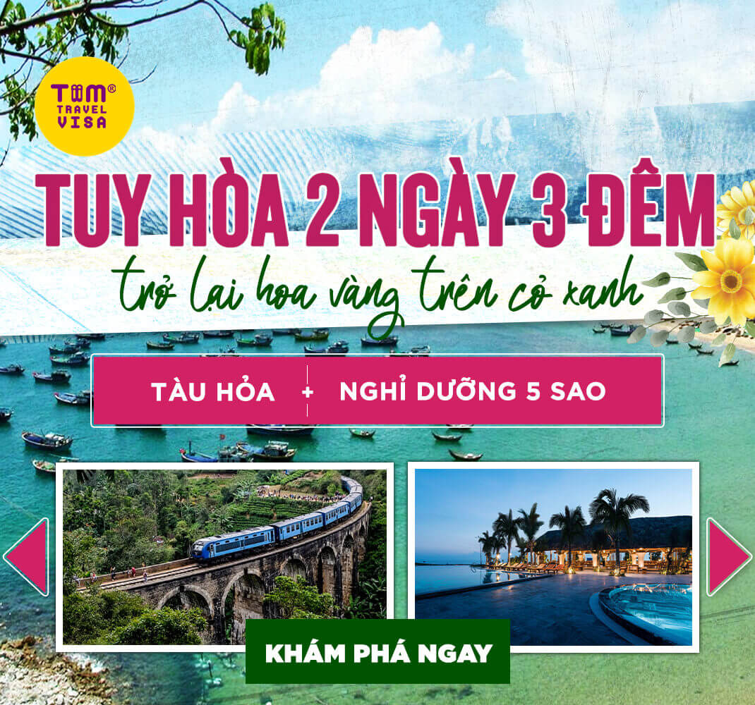 Tuy Hòa 2 ngày 3 đêm trở lại hoa vàng trên cỏ xanh (tàu hỏa, nghỉ dưỡng 5 sao)