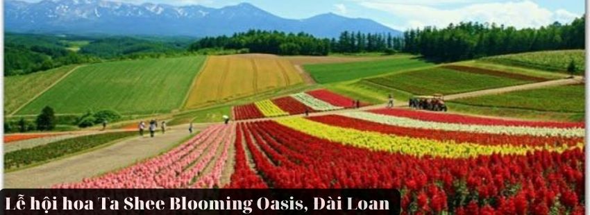 Lễ hội hoa Ta Shee Blooming Oasis đầy sắc màu