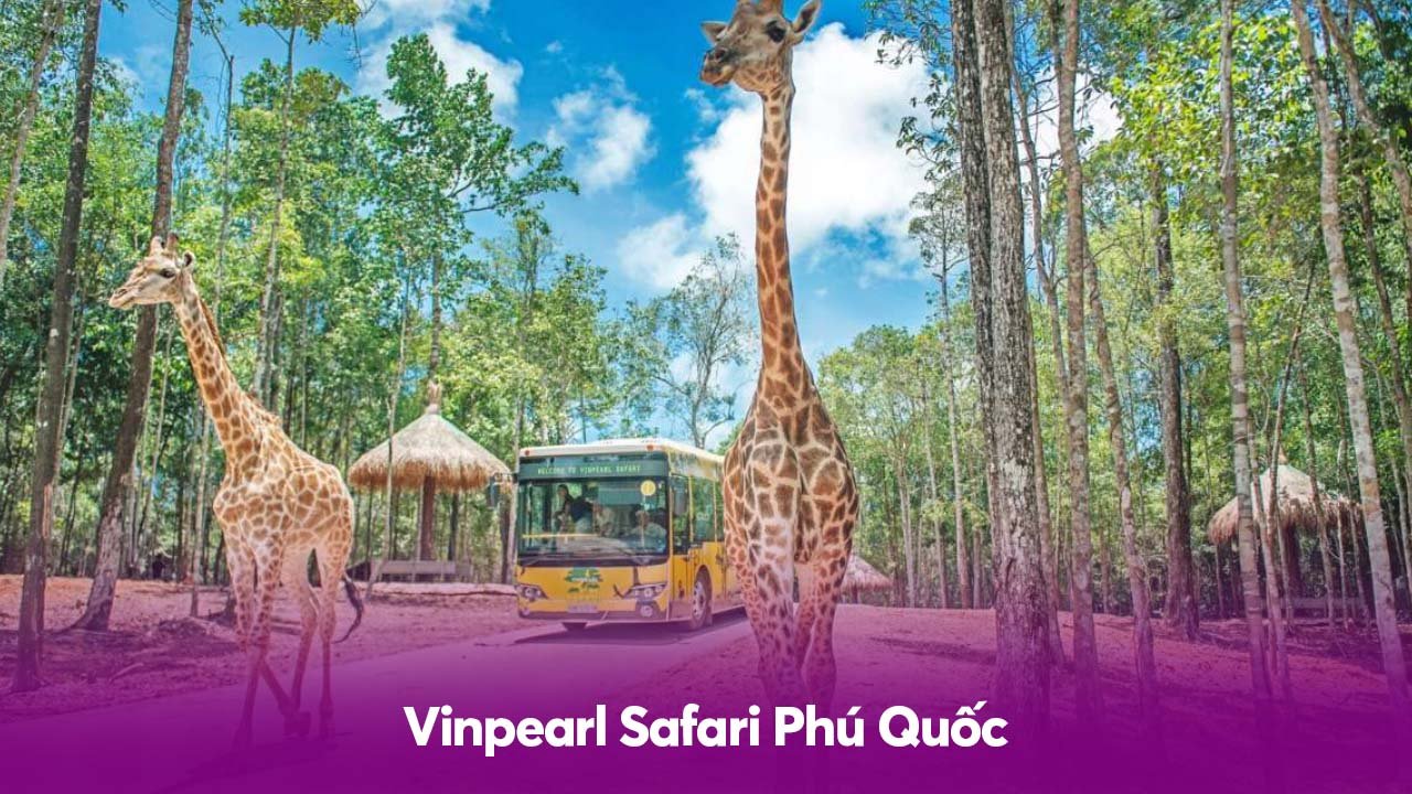 Vinpearl Safari Phú Quốc