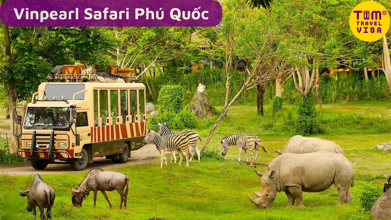 Giải trí và tham quan ở Phú Quốc