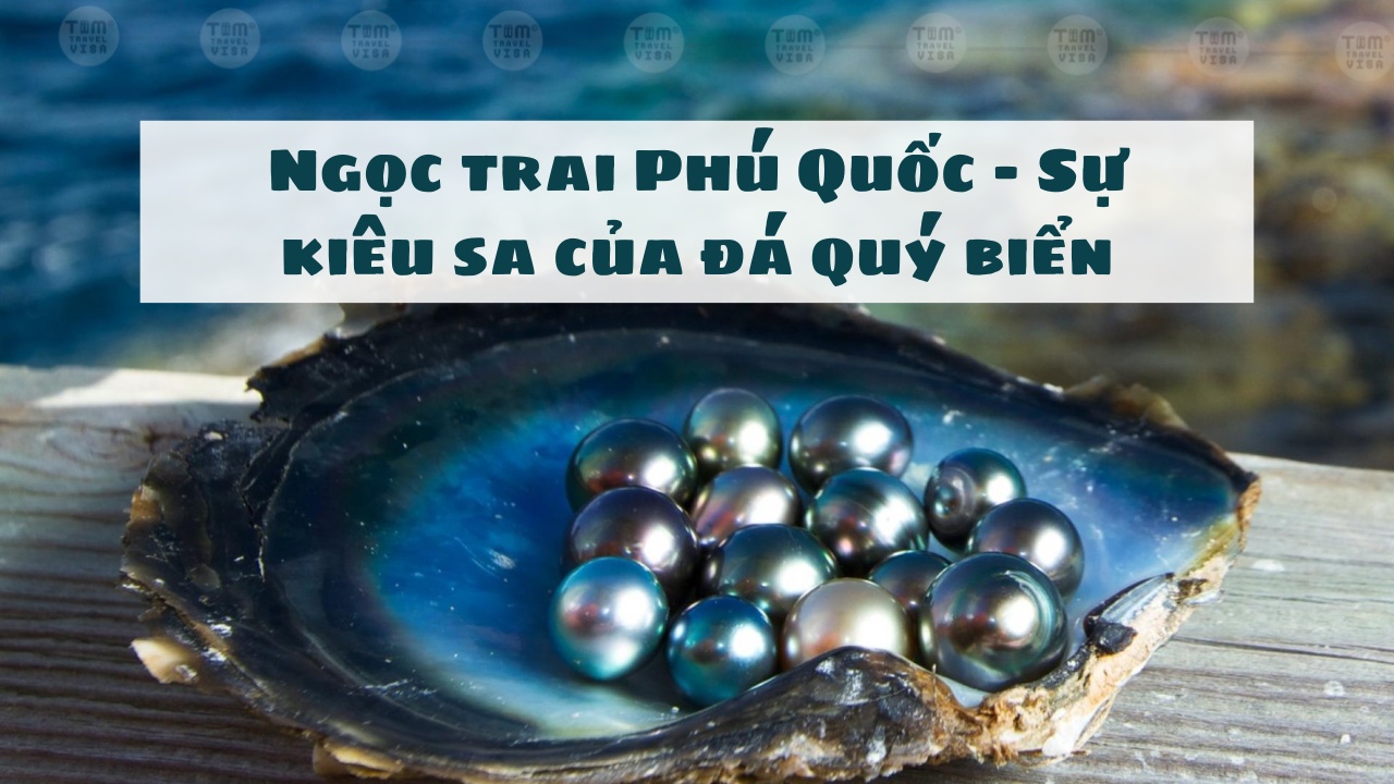 Ngọc trai Phú Quốc - Sự kiêu sa của đá quý biển