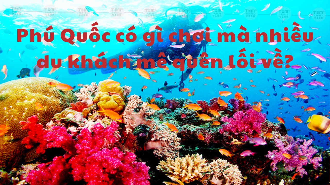 Phú Quốc có gì chơi mà nhiều du khách mê quên lối về?