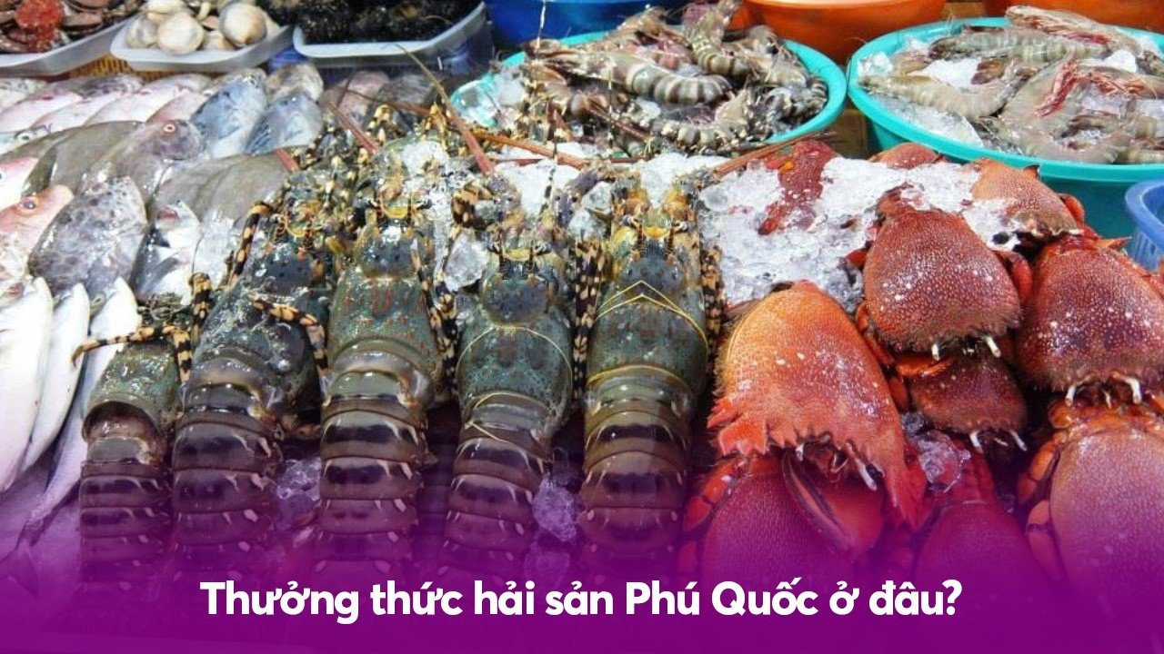 Thưởng thức hải sản Phú Quốc ở đâu?