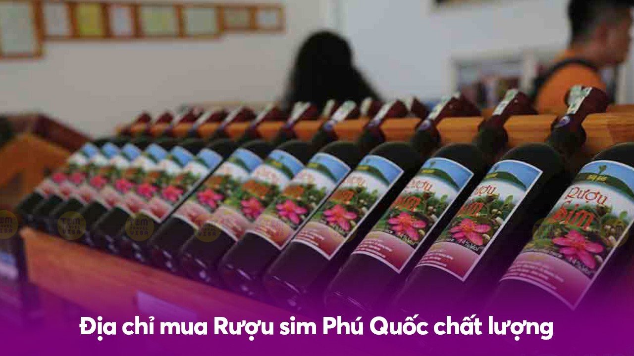 Địa chỉ mua Rượu sim Phú Quốc chất lượng cho du khách	