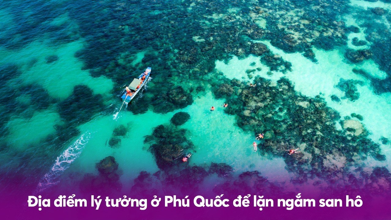 Địa điểm lý tưởng ở Phú Quốc để trải nghiệm lặn ngắm san hô