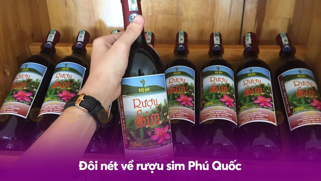 Sơ nét về rượu sim Phú Quốc - đặc sản của Phú Quốc