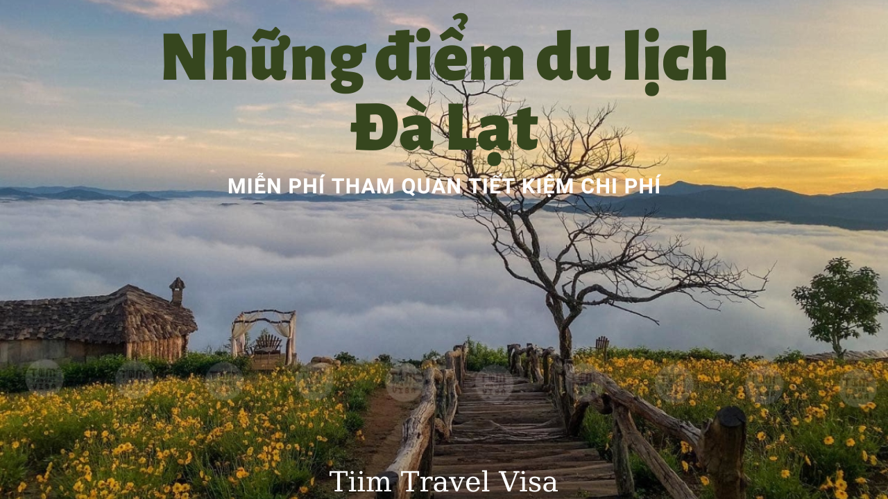 Top 4 địa điểm tham quan, du lịch Đà Lạt miễn phí 2023