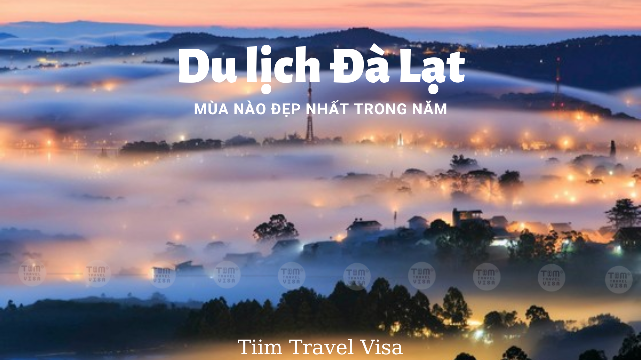 Đi du lịch đà lạt mùa nào đẹp nhất trong năm?
