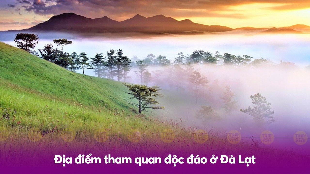 Địa điểm tham quan độc đáo ở Đà Lạt