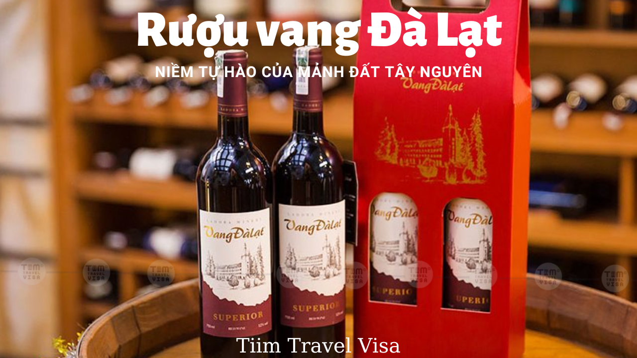 Rượu vang Đà Lạt - Niềm tự hào của mảnh đất Tây Nguyên