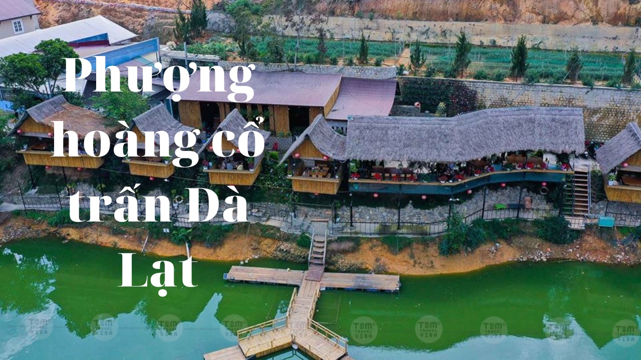 Phát hiện một Phượng hoàng cổ trấn Đà Lạt đẹp mê hồn