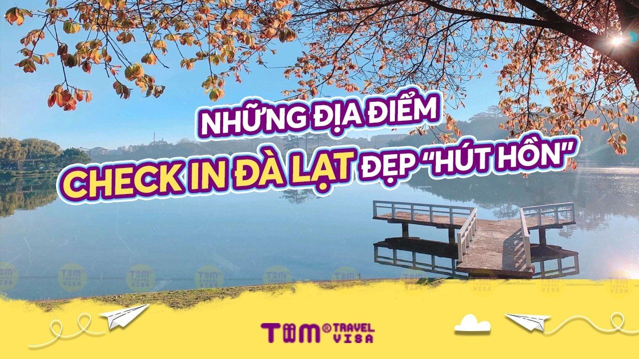 Những địa điểm check in Đà Lạt đẹp “hút hồn” mà bạn không nên bỏ qua