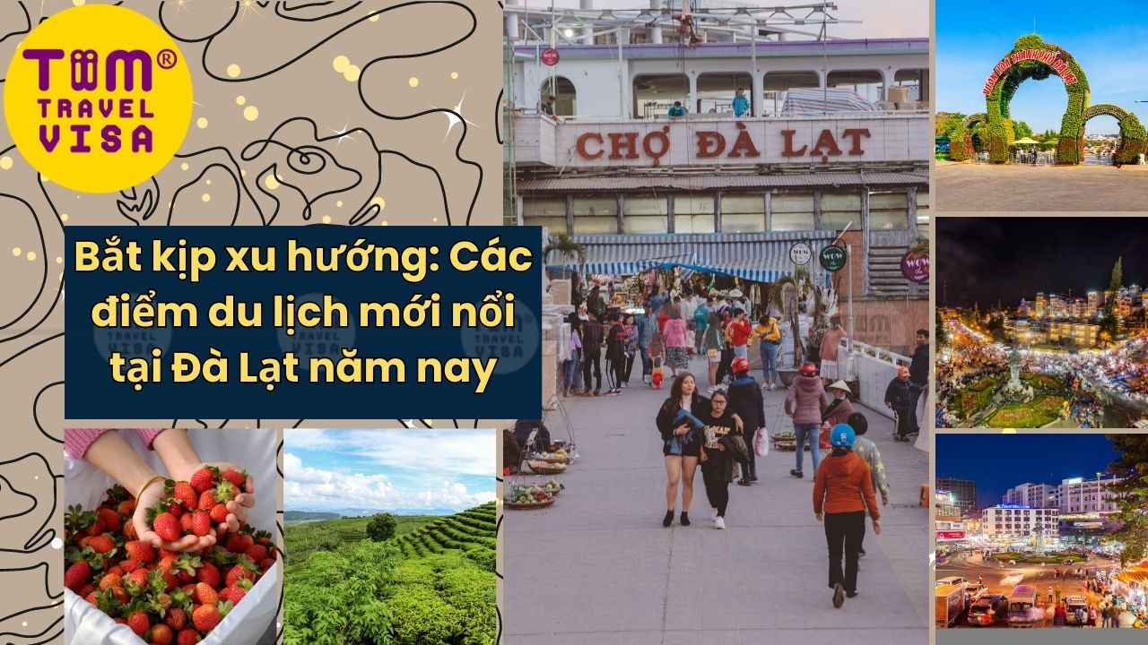 Bắt kịp xu hướng: Các điểm du lịch mới nổi tại Đà Lạt năm nay