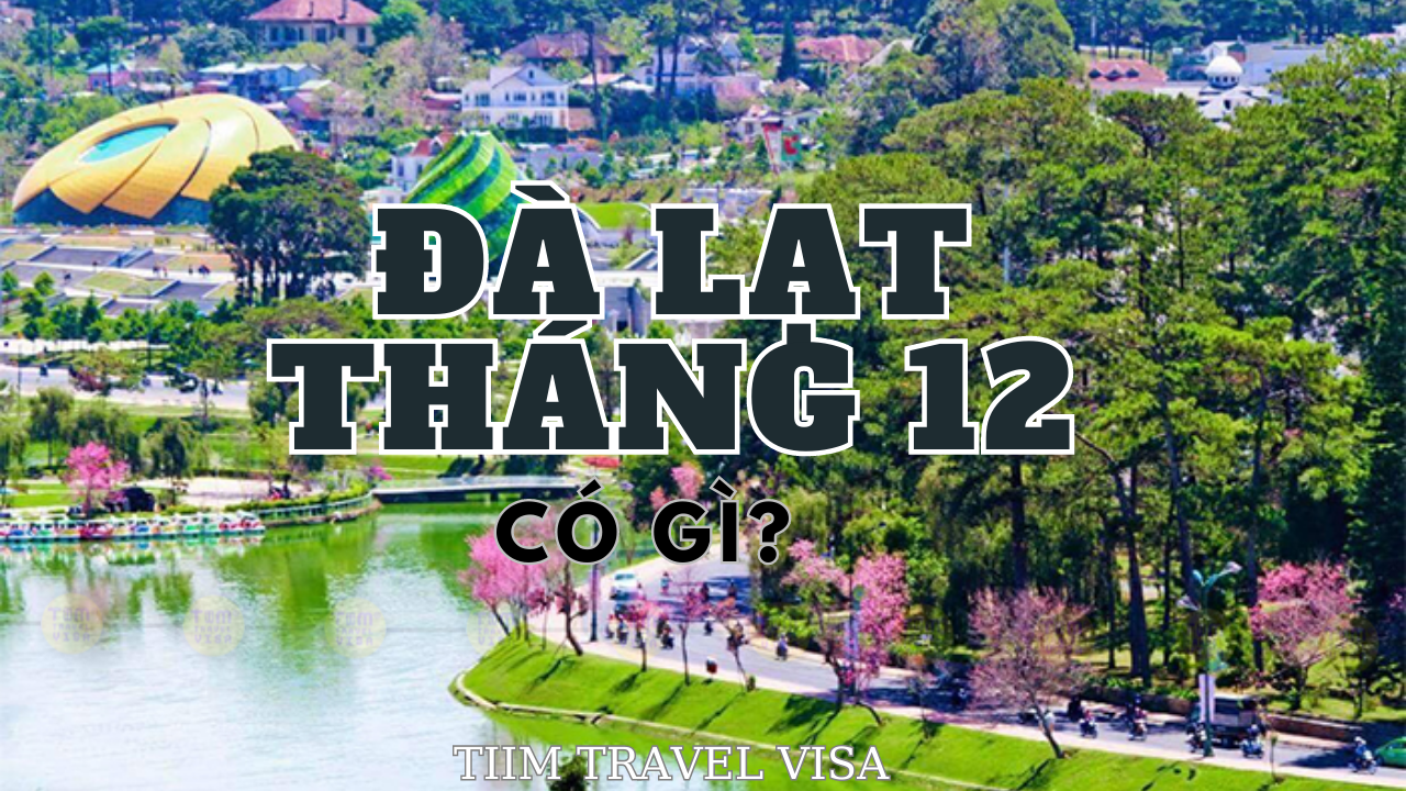 Đừng bỏ lỡ những trải nghiệm hấp dẫn khi du lịch Đà Lạt tháng 12