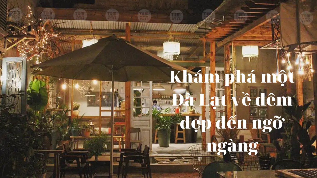 Khám phá một Đà Lạt về đêm đẹp đến ngỡ ngàng
