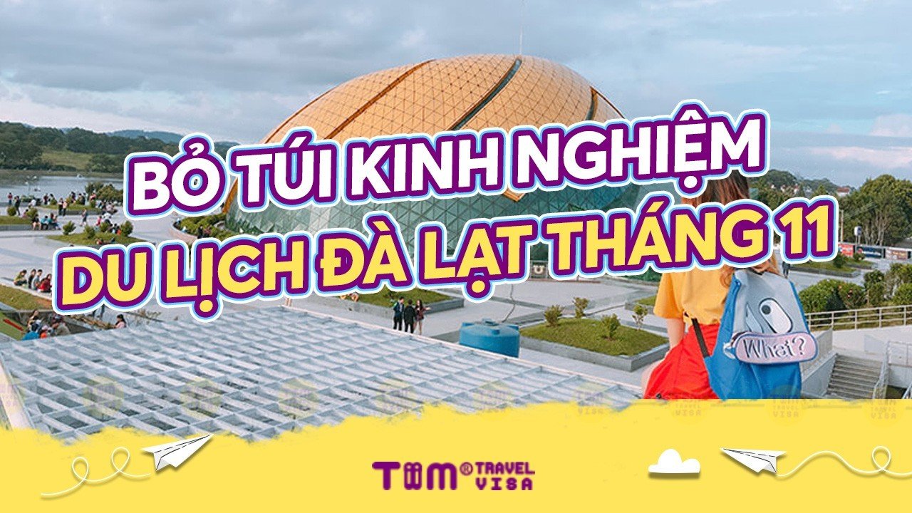 Du lịch Đà Lạt tháng 11 có gì vui? Top các địa điểm nên trải nghiệm