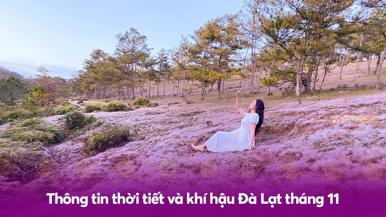 Thông tin thời tiết và khí hậu Đà Lạt tháng 11