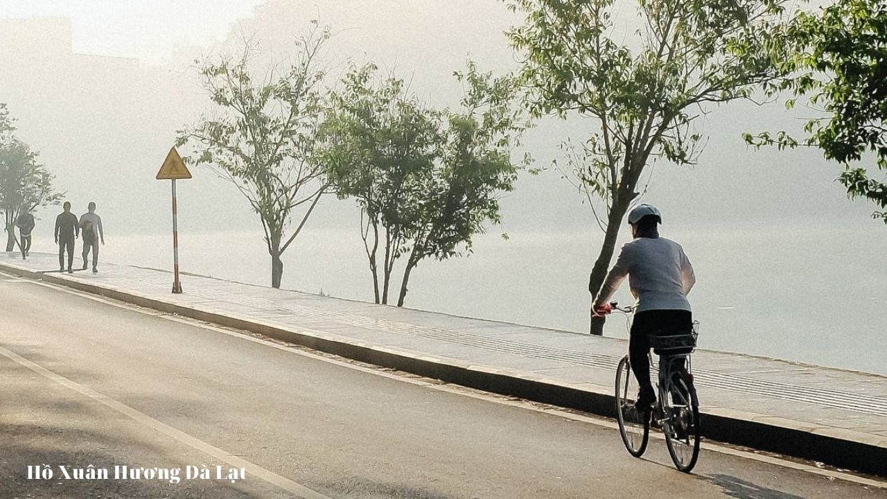 Đi xe đạp khu vực quanh hồ