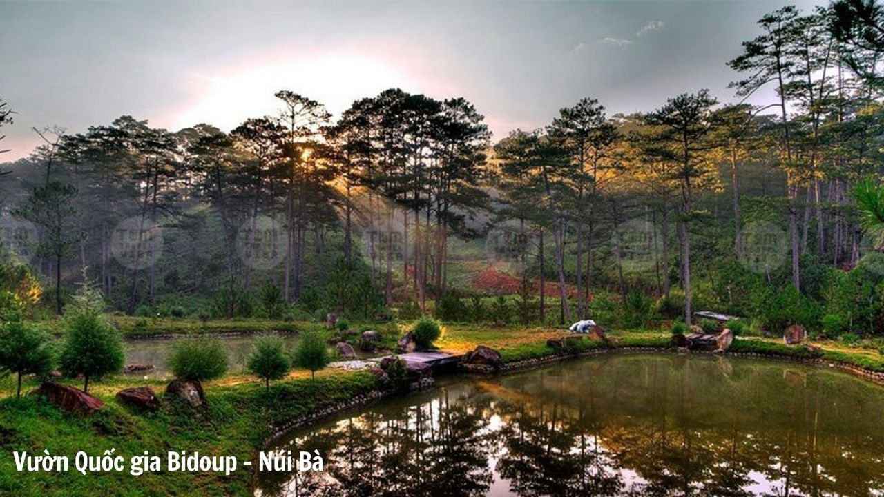  Vườn Quốc gia Bidoup - Núi Bà