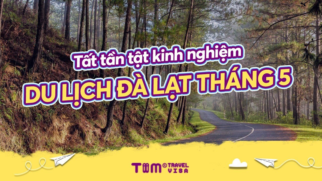 Tất tần tật kinh nghiệm du lịch Đà Lạt tháng 5