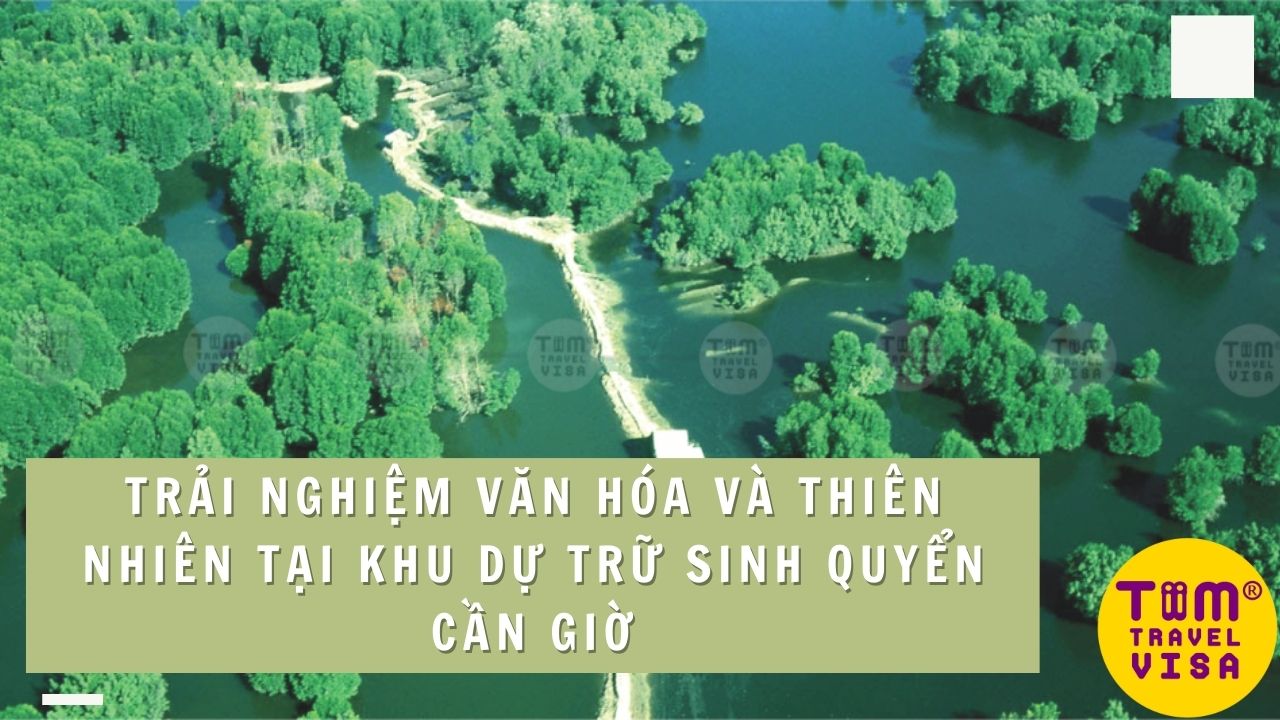 Trải nghiệm văn hóa và thiên nhiên tại Khu dự trữ sinh quyển Cần Giờ