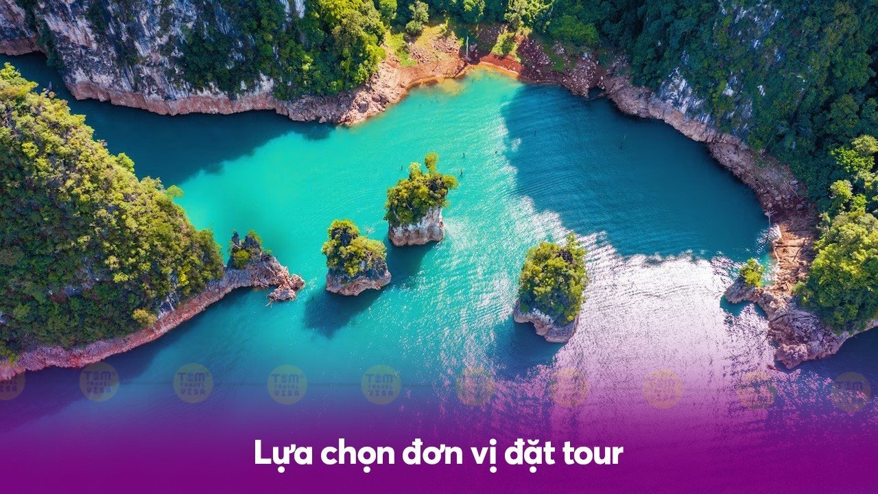 Lựa chọn đơn vị đặt tour