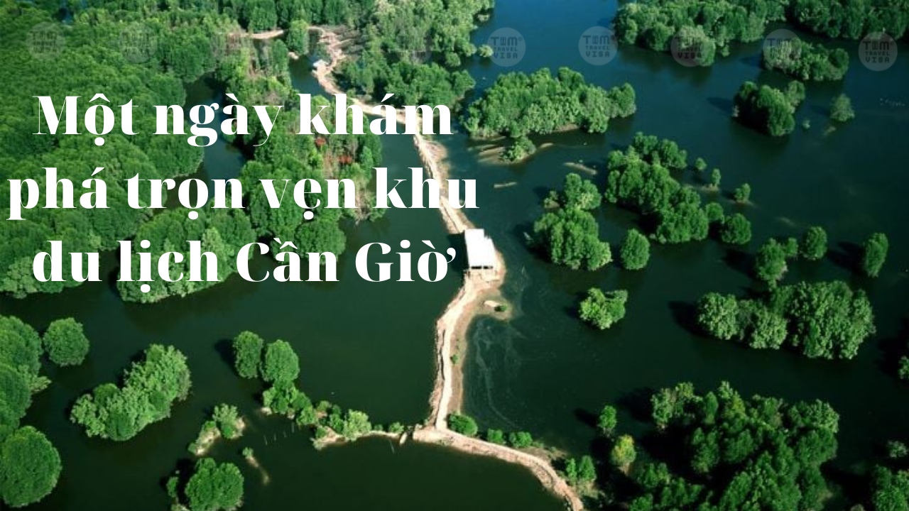Một ngày khám phá trọn vẹn khu du lịch Cần Giờ