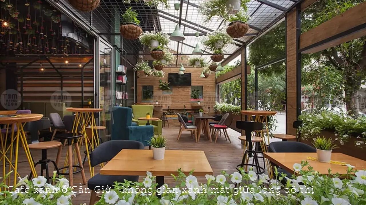 Cafe xanh ở Cần Giờ - không gian xanh mát giữa lòng đô thị