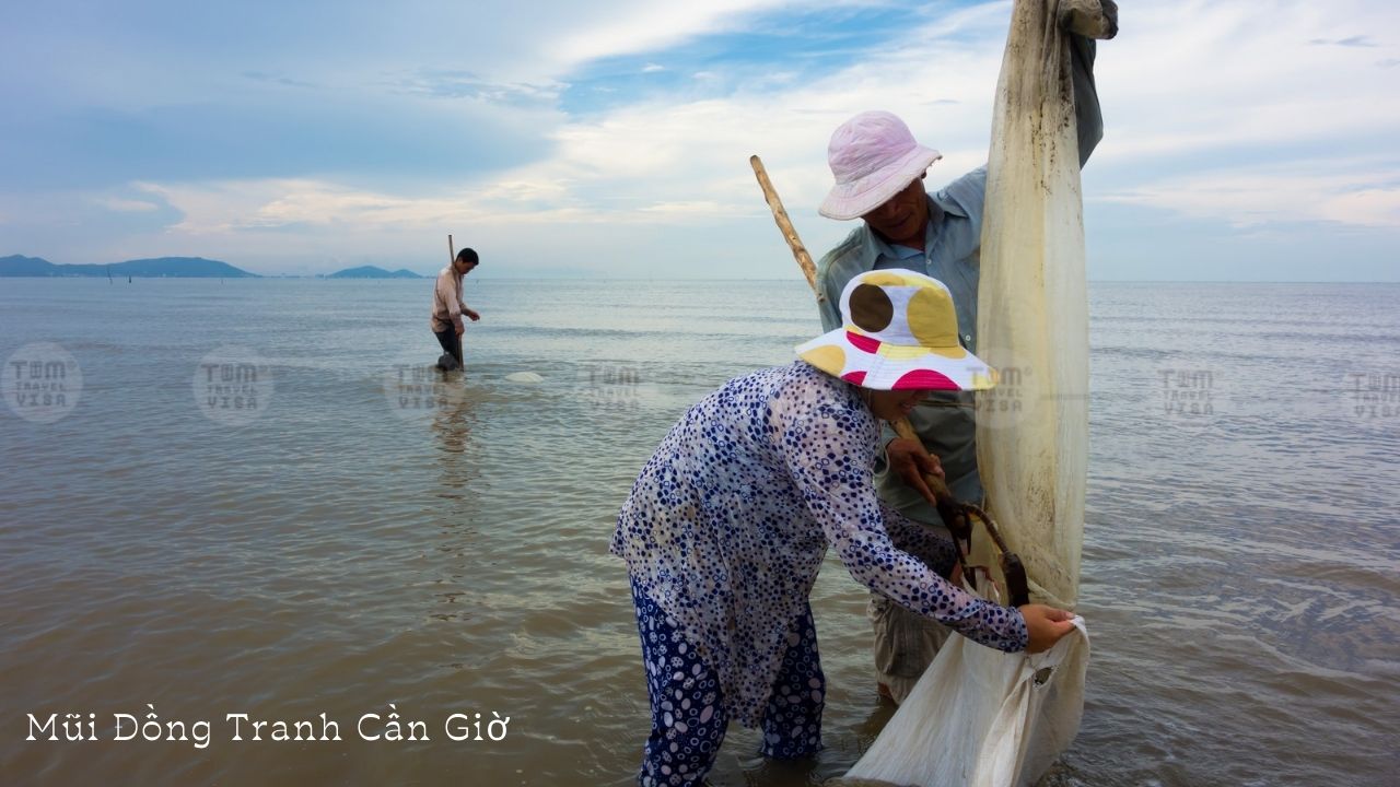 Hoạt động du lịch tại Hòn đảo Mũi Đồng Tranh Cần Giờ