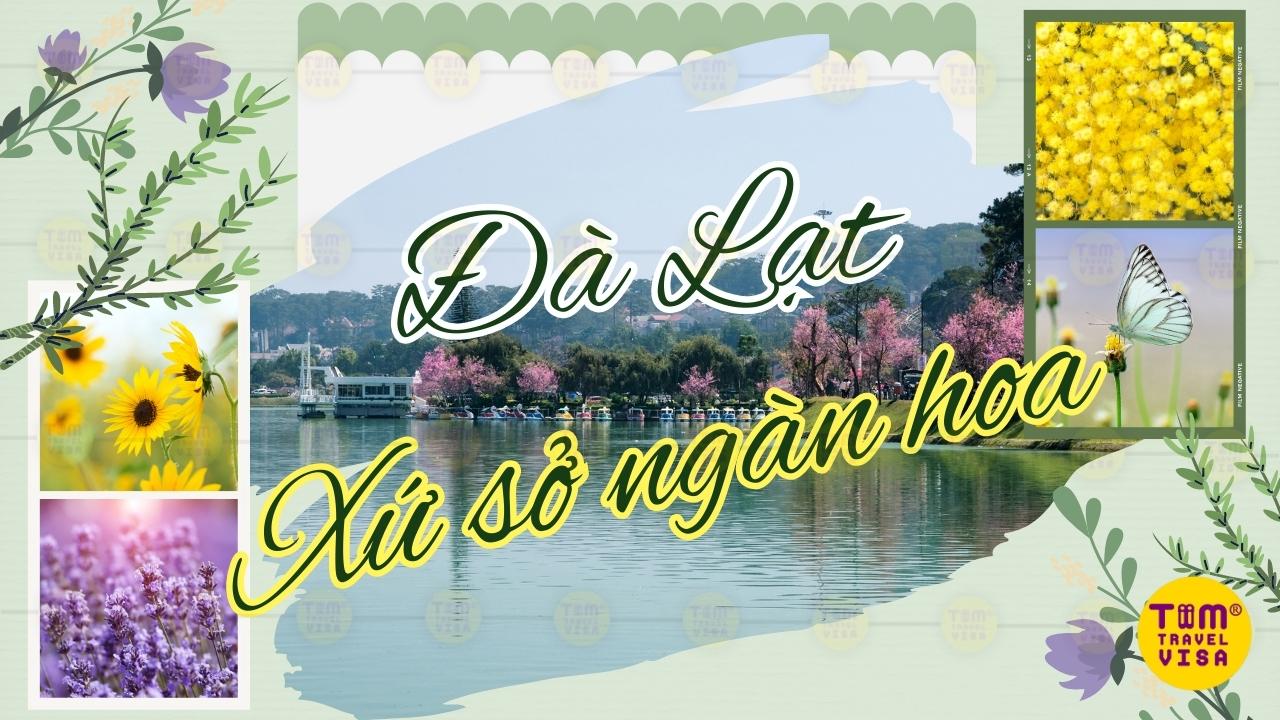 Tại sao thành phố Đà Lạt được mệnh danh là xứ sở ngàn hoa