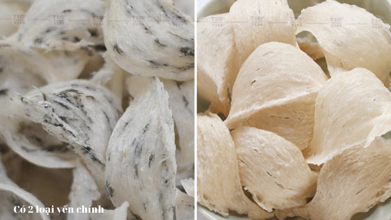 2 loại yến