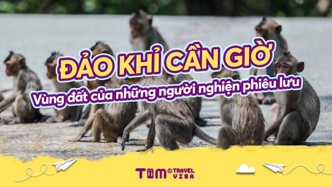 Đảo khỉ Cần Giờ: Vùng đất của những người nghiện phiêu lưu