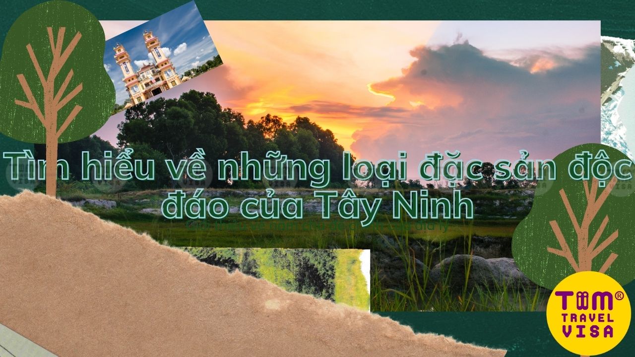 Tìm hiểu về những loại đặc sản độc đáo của Tây Ninh