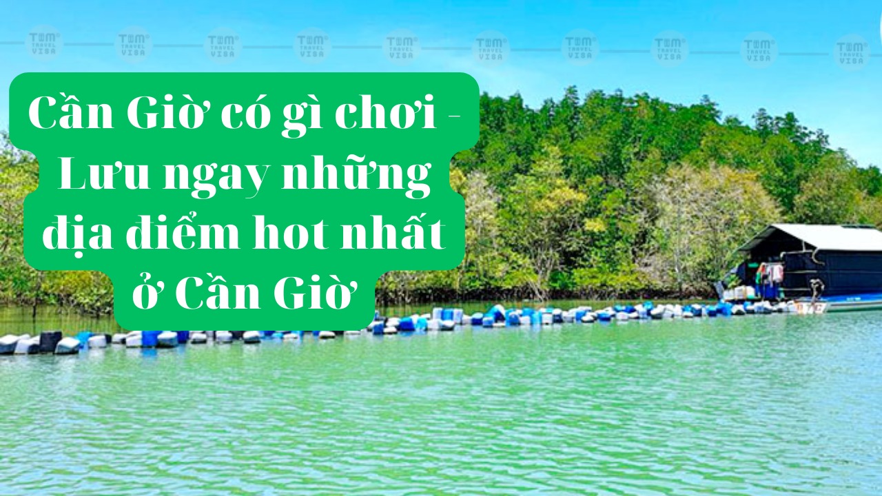 Cần Giờ có gì chơi - Lưu ngay những địa điểm hot nhất ở Cần Giờ