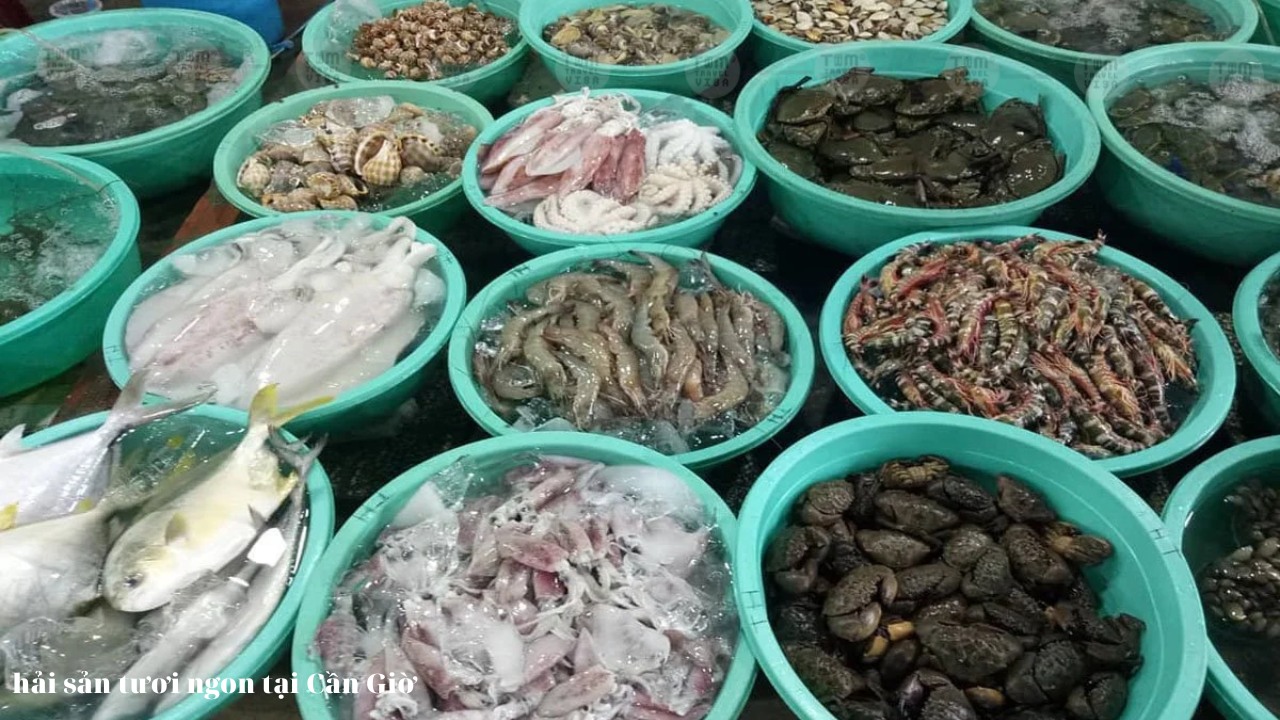 hải sản cần giờ