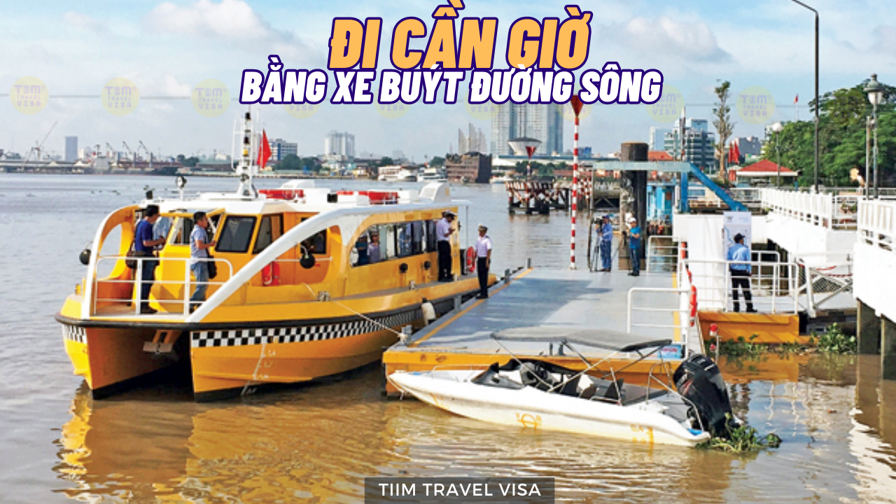 Xe buýt đường sông đi Cần Giờ sẽ có trải nghiệm như thế nào?