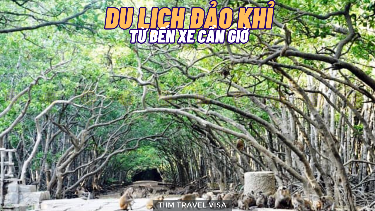 Du lịch Đảo Khỉ từ Bến xe Cần Giờ