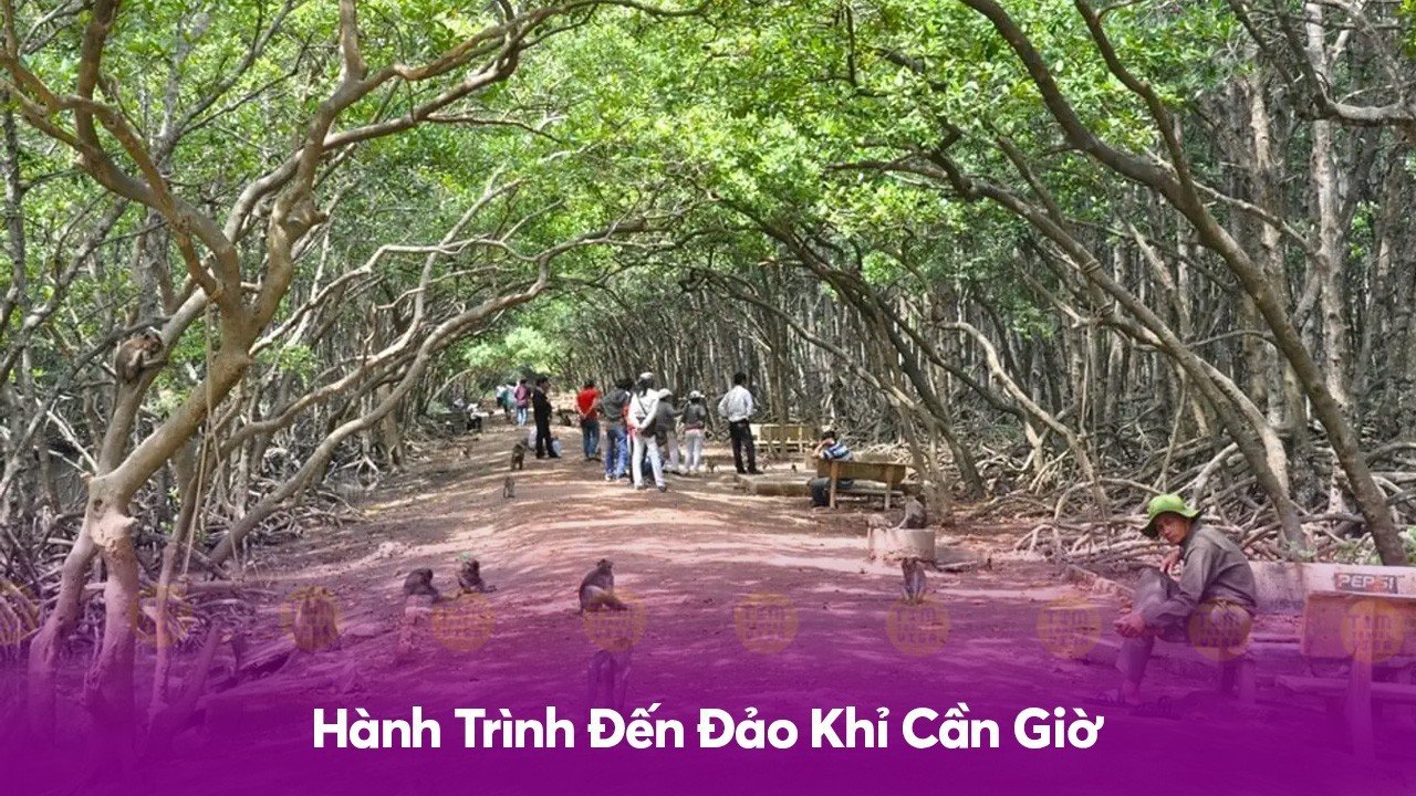 Hành Trình Đến Đảo Khỉ Cần Giờ
