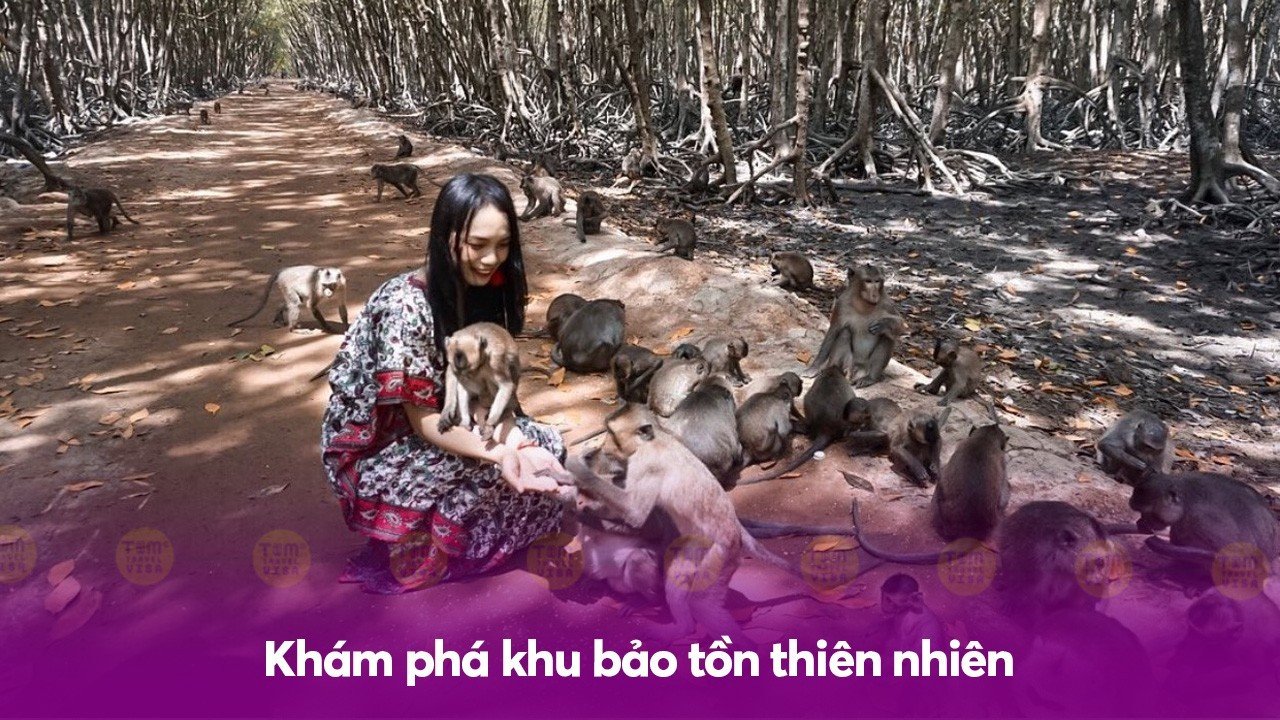 Khám phá khu bảo tồn thiên nhiên