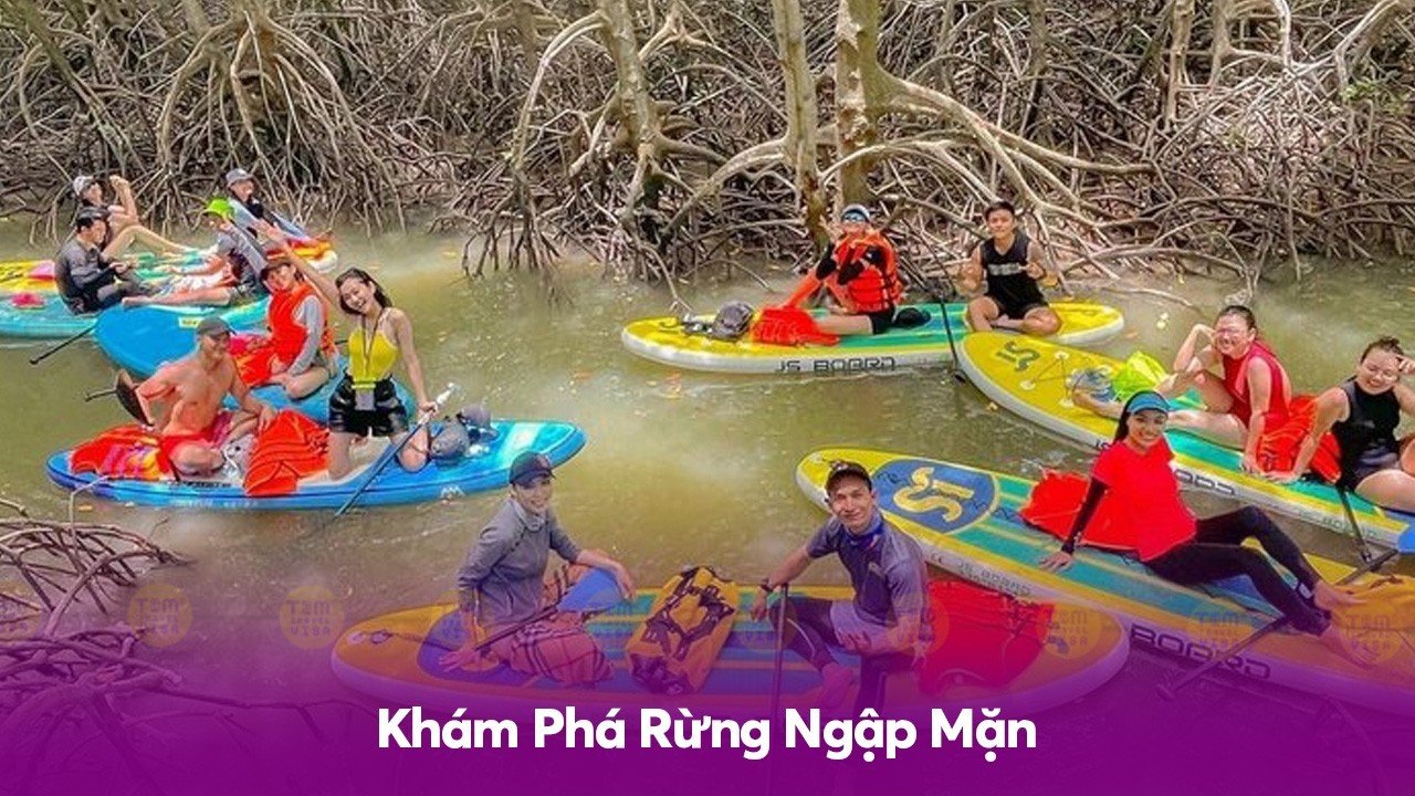 Khám Phá Rừng Ngập Mặn
