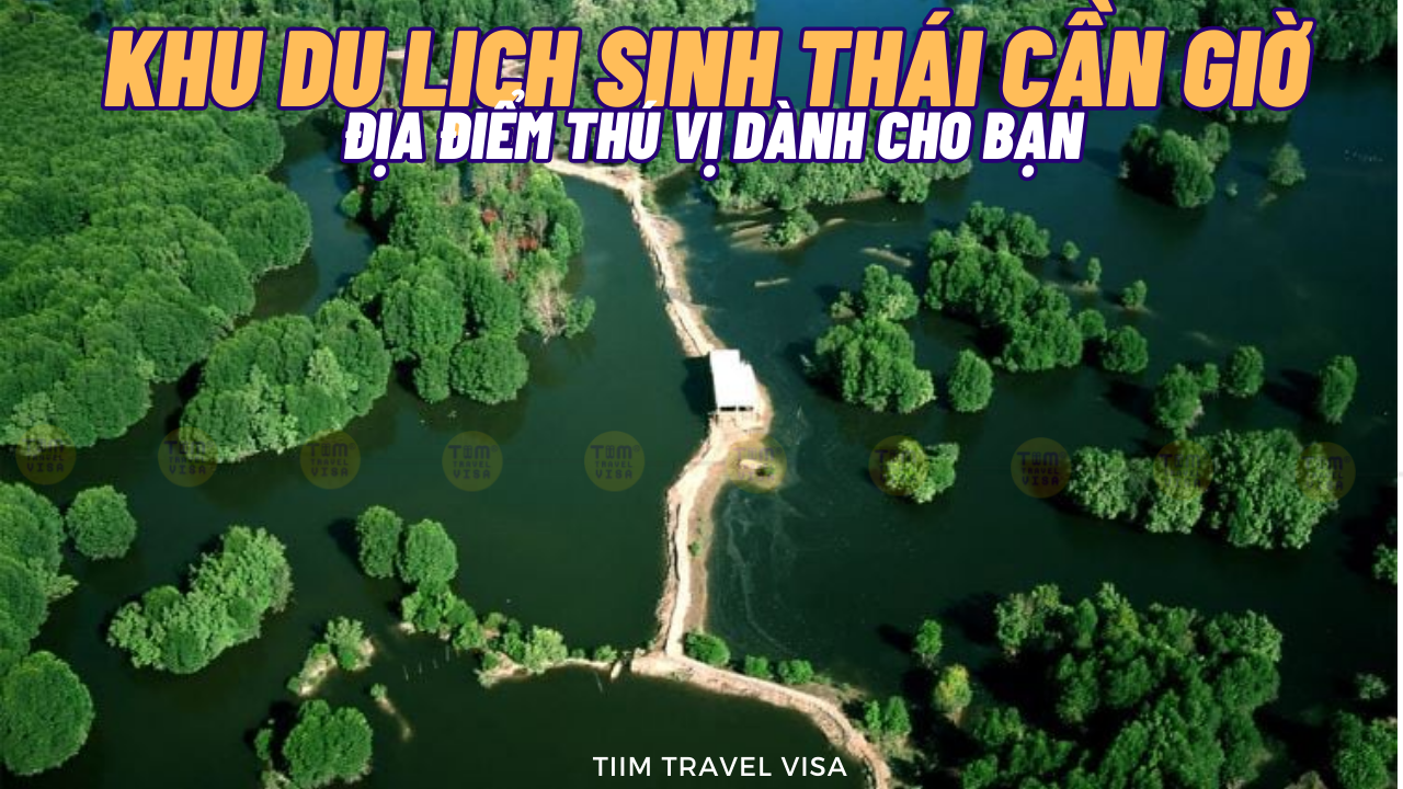 Khu du lịch sinh thái Cần Giờ - địa điểm thú vị dành cho bạn