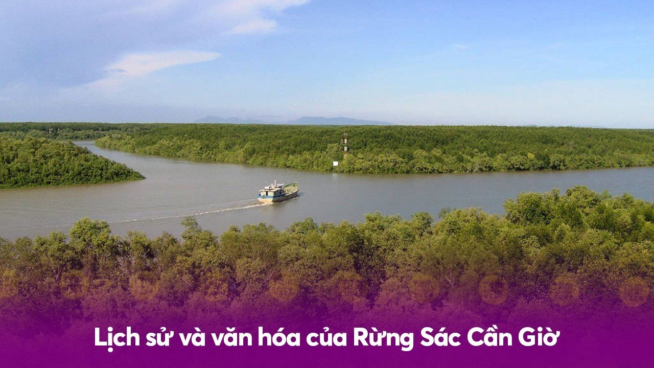 Lịch sử và văn hóa của Rừng Sác Cần Giờ