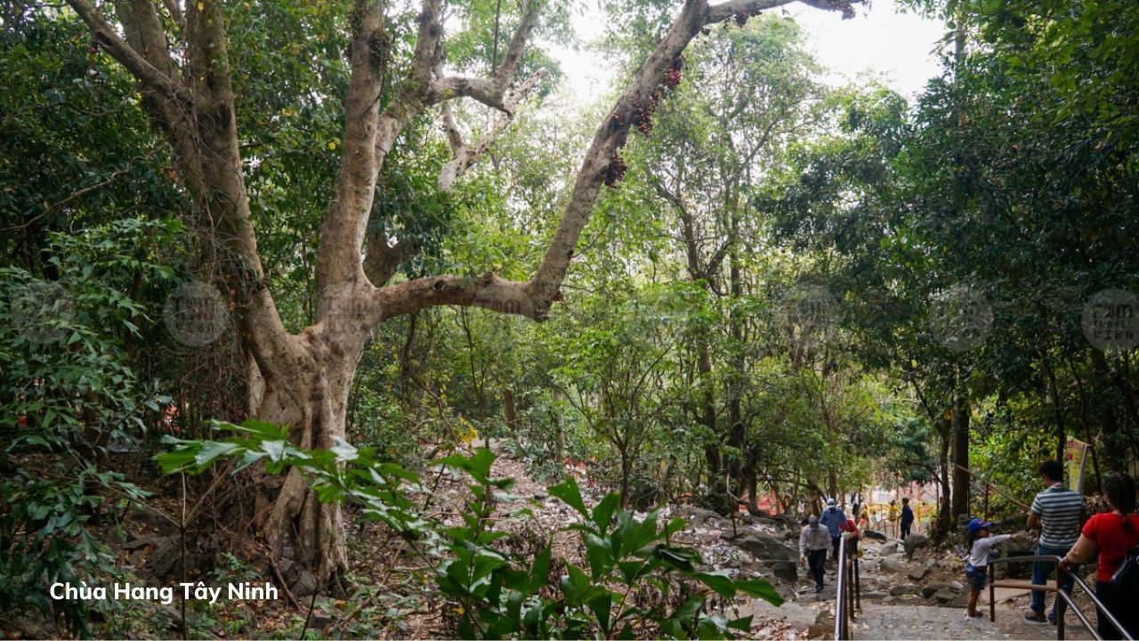 Đi bộ khám phá hang động: 