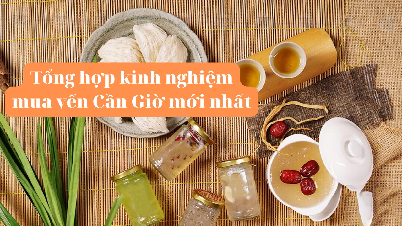 Tổng hợp kinh nghiệm mua yến Cần Giờ mới nhất