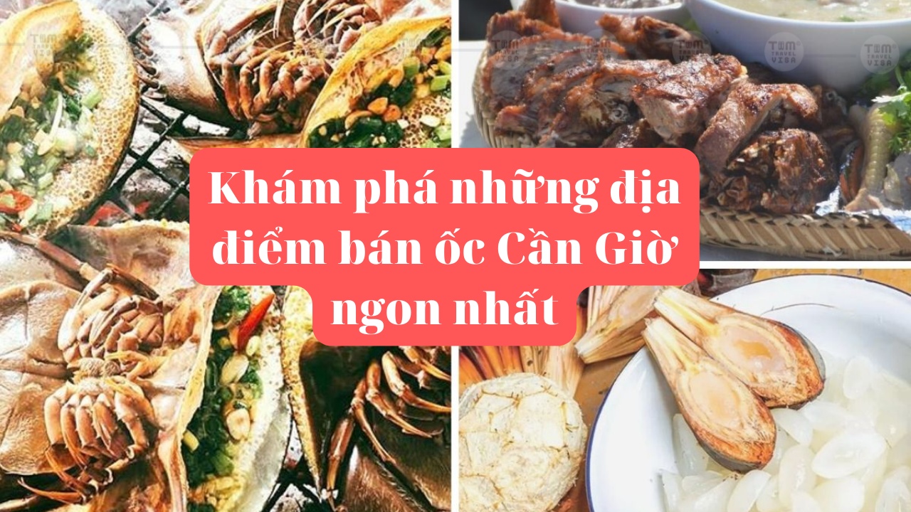 Khám phá những địa điểm bán ốc Cần Giờ ngon nhất